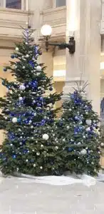 Scénographie sapin de noël
