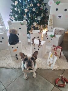 Conception d'emballages cadeaux de noël sur votre thème