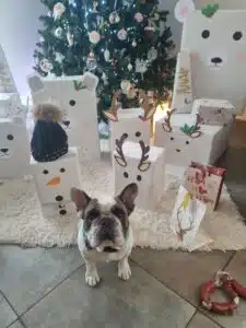Conception d'emballages cadeaux de noël sur votre thème